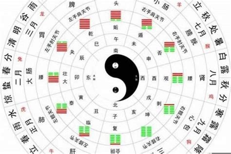 生辰八字陰陽|生辰八字算命、五行喜用神查询（免费测算）